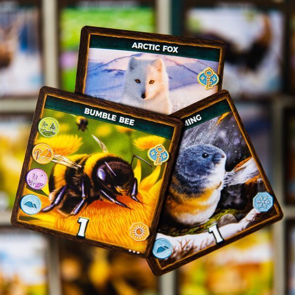 KEYSTONE: NORTEAMÉRICA - Imagen 4