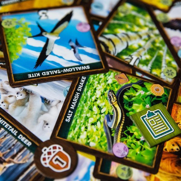 KEYSTONE: NORTEAMÉRICA - Imagen 7